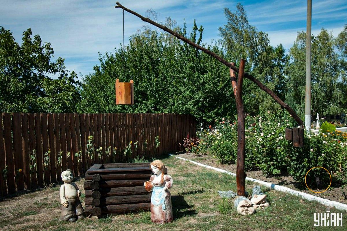 Mačka je bila v cvetlični gredi / kolaž Moje Mačka je bila v cvetlični gredi / kolaž Moje